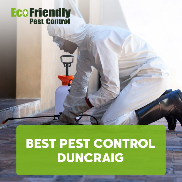 Best Pest Control Duncraig