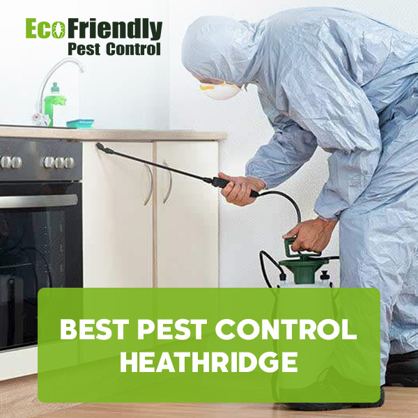 Best Pest Control  Heathridge 