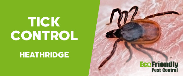 Ticks Control  Heathridge 