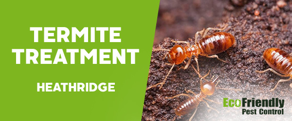Termite Control  Heathridge 