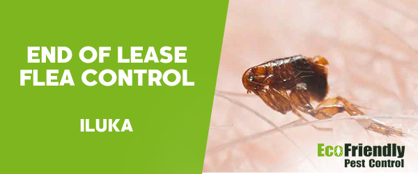 Pest Control Iluka