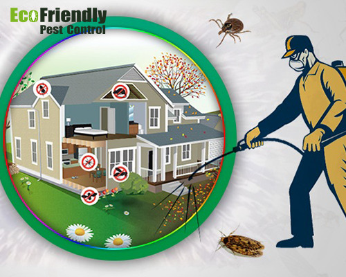 Pest Control Joondalup