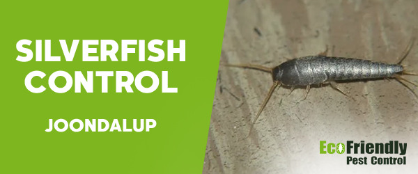 Silverfish Control  Joondalup 