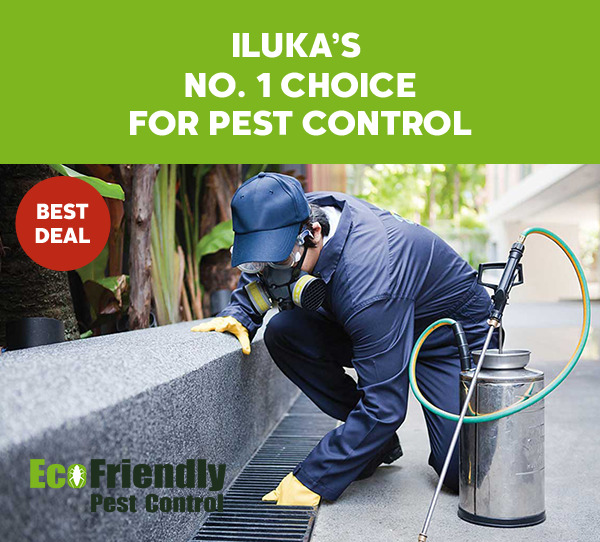 Pest Control Iluka