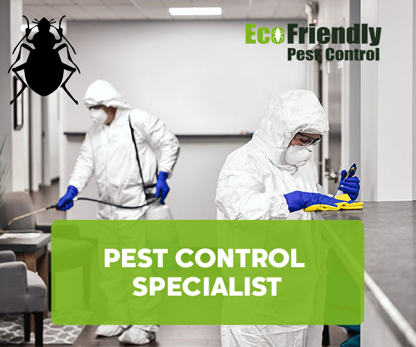 Pest Control Ocean Reef