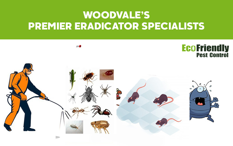 Pest Control Woodvale