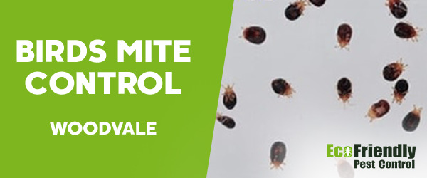 Bird Mite Control  Woodvale 