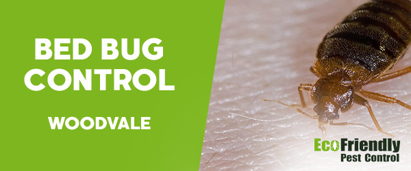 Bed Bug Control  Woodvale 