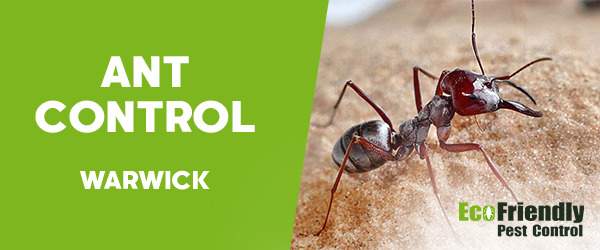 Ant Control Warwick