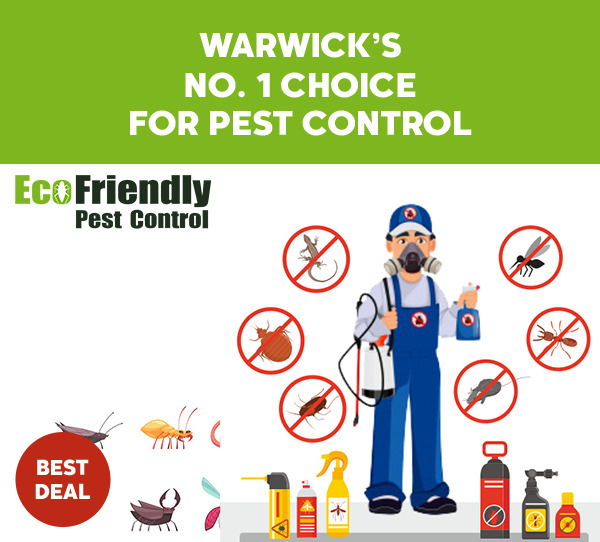 Pest Control Warwick