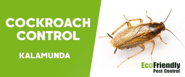 Cockroach Control  Kalamunda  