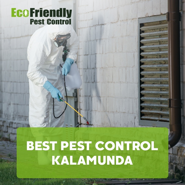 Best Pest Control  Kalamunda 