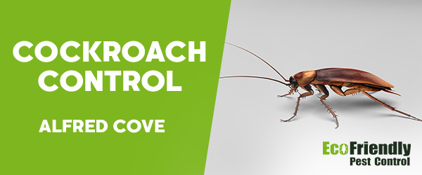 Cockroach Control Alfred Cove 