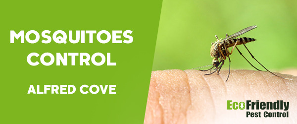 Mosquitoes Control Alfred Cove