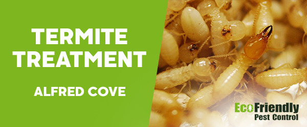 Termite Control Alfred Cove