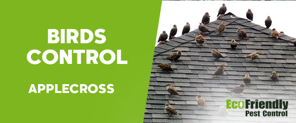 Birds Control Applecross