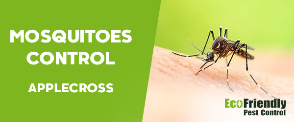 Mosquitoes Control Applecross