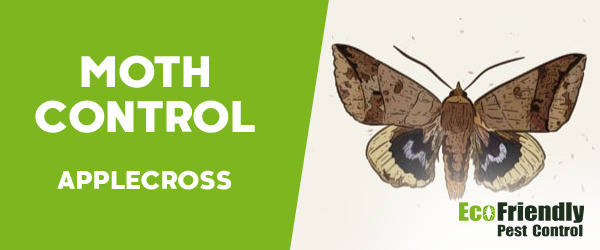 Moth Control Applecross