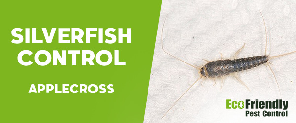 Silverfish Control Applecross