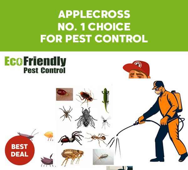 Pest Control Applecross
