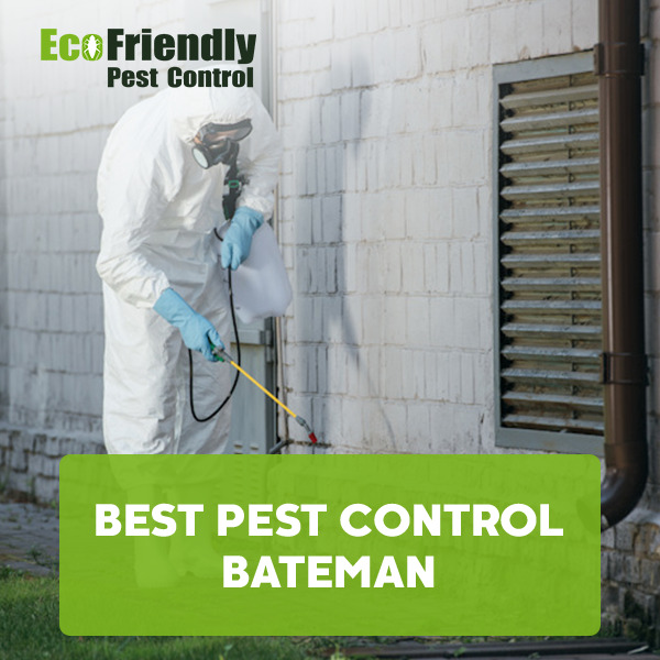 Best Pest Control Bateman