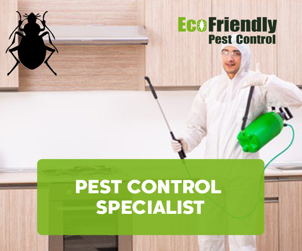 Pest Control Specialist