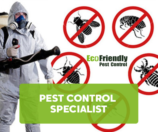 Pest Control Specialist