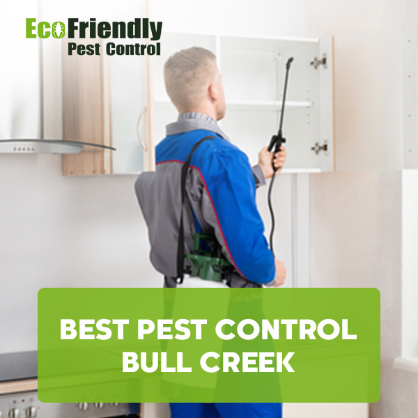 Best Pest Control Bull Creek