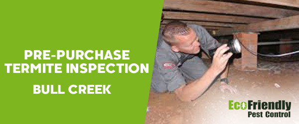 Pre-purchase Termite Inspection Bull Creek