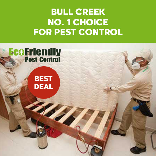 Pest Control Bull Creek