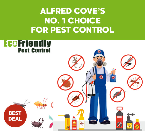 Pest Control Alfred Cove