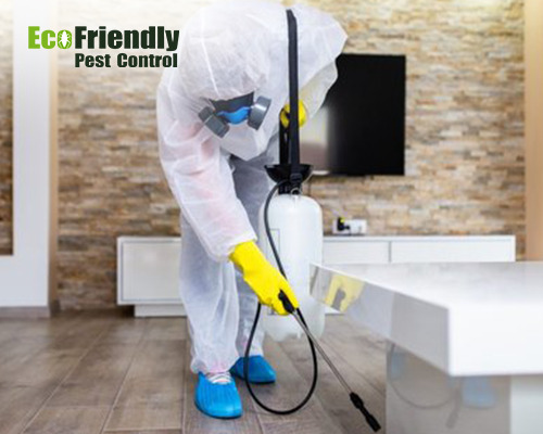 Pest Control Melville