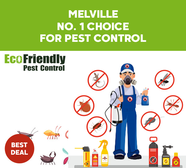 Pest Control Melville