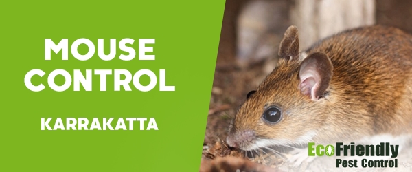 Mouse Control Karrakatta