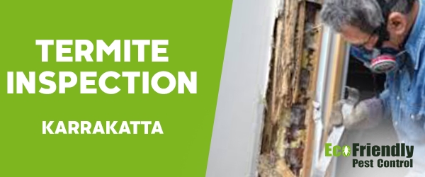 Termite Inspection Karrakatta