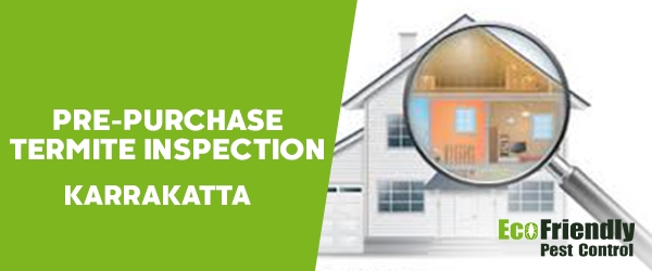 Pre-purchase Termite Inspection Karrakatta