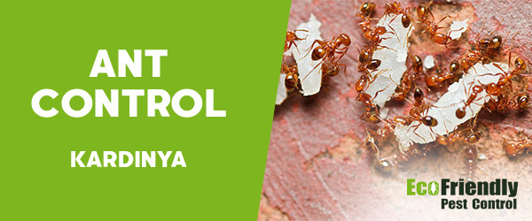 Ant Control Kardinya