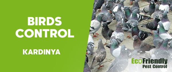 Birds Control Kardinya