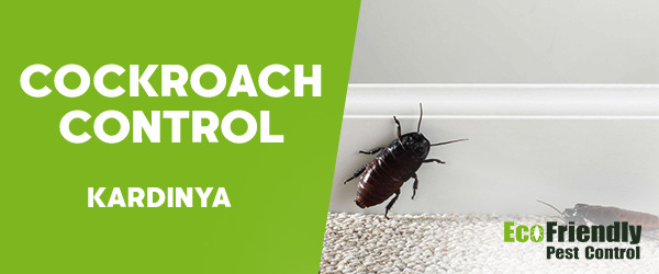 Cockroach Control Kardinya 