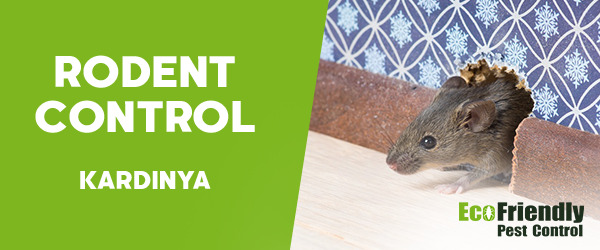 Rodent Treatment Kardinya