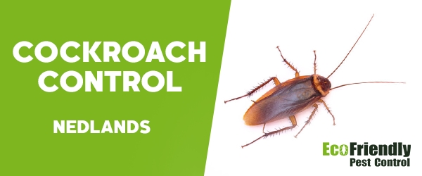 Cockroach Control  Nedlands  