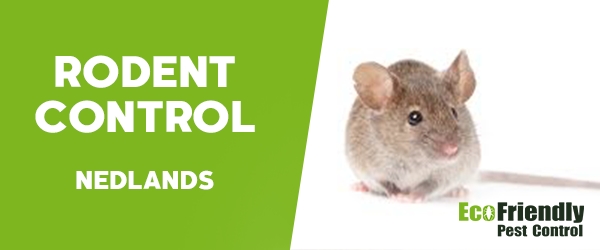 Rodent Treatment  Nedlands 