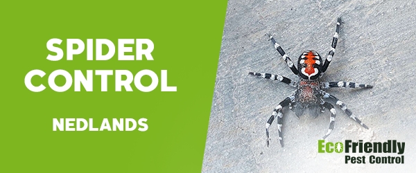 Spider Control  Nedlands 