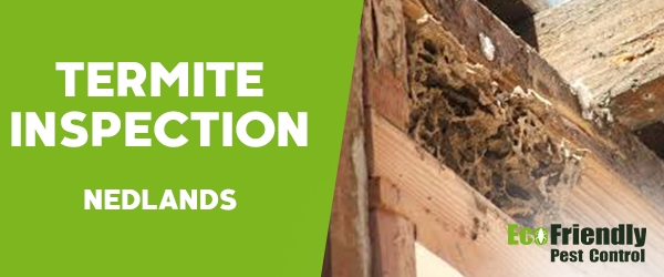 Termite Inspection  Nedlands 