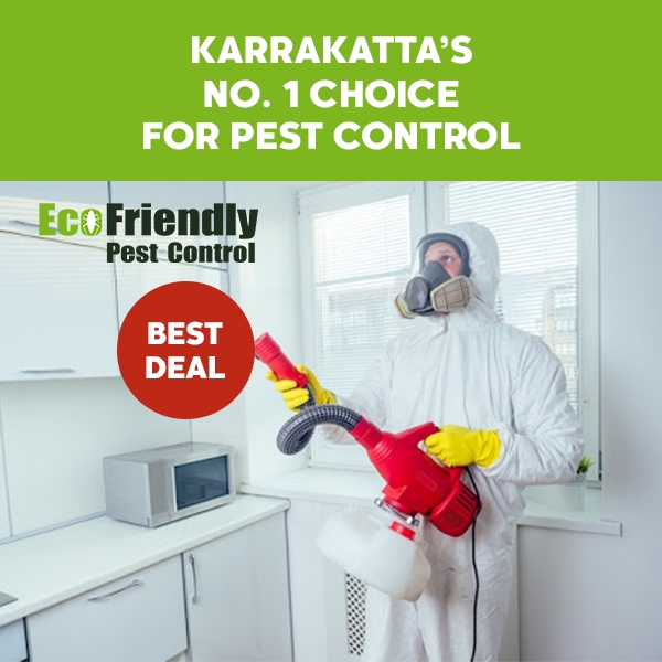 Pest Control Karrakatta