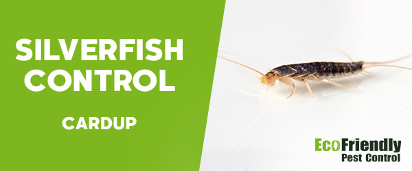 Silverfish Control Cardup 