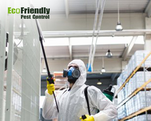 Pest Control Swanbourne