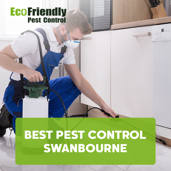 Best Pest Control Swanbourne