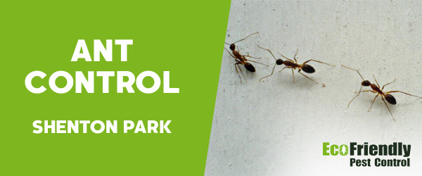 Ant Control Shenton Park