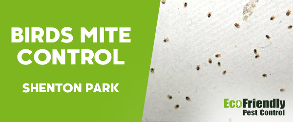 Bird Mite Control Shenton Park